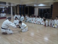 /album/galerie-foto/sabia-samuraiului-jpg/